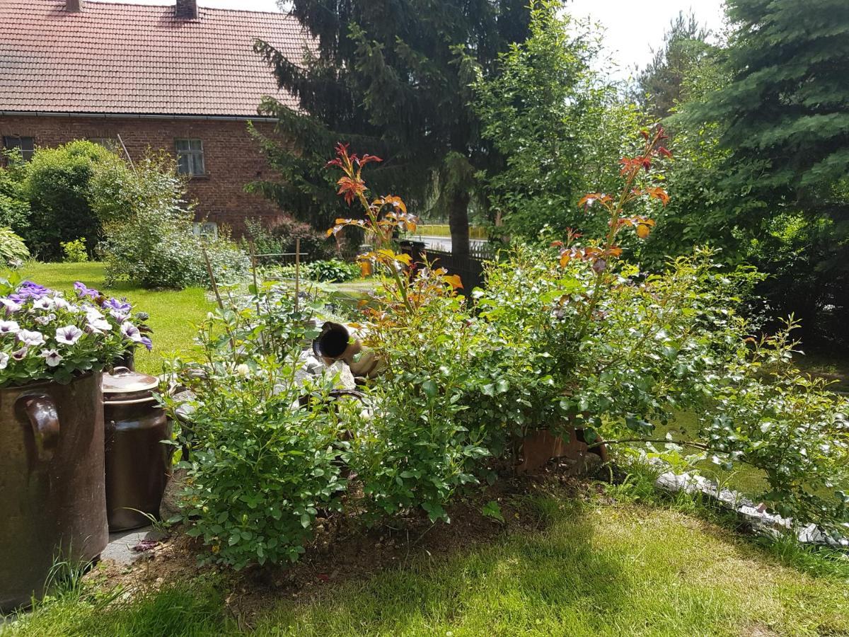 Wczasowisko Karola Apartment Lubomierz  Luaran gambar
